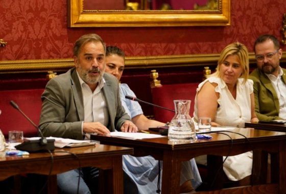 El PSOE de Granada pide al Ayuntamiento y la Diputación que no talen árboles para hacer la nueva rotonda de la Avenida de Andalucía Jacobo-Calvo-durante-el-Pleno-560x381